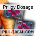 Priligy Dosage 15